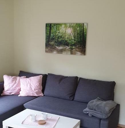 Ferienwohnung Brachtpetal Drolshagen ภายนอก รูปภาพ