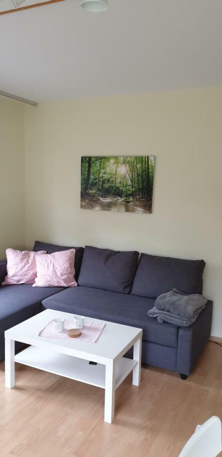 Ferienwohnung Brachtpetal Drolshagen ภายนอก รูปภาพ